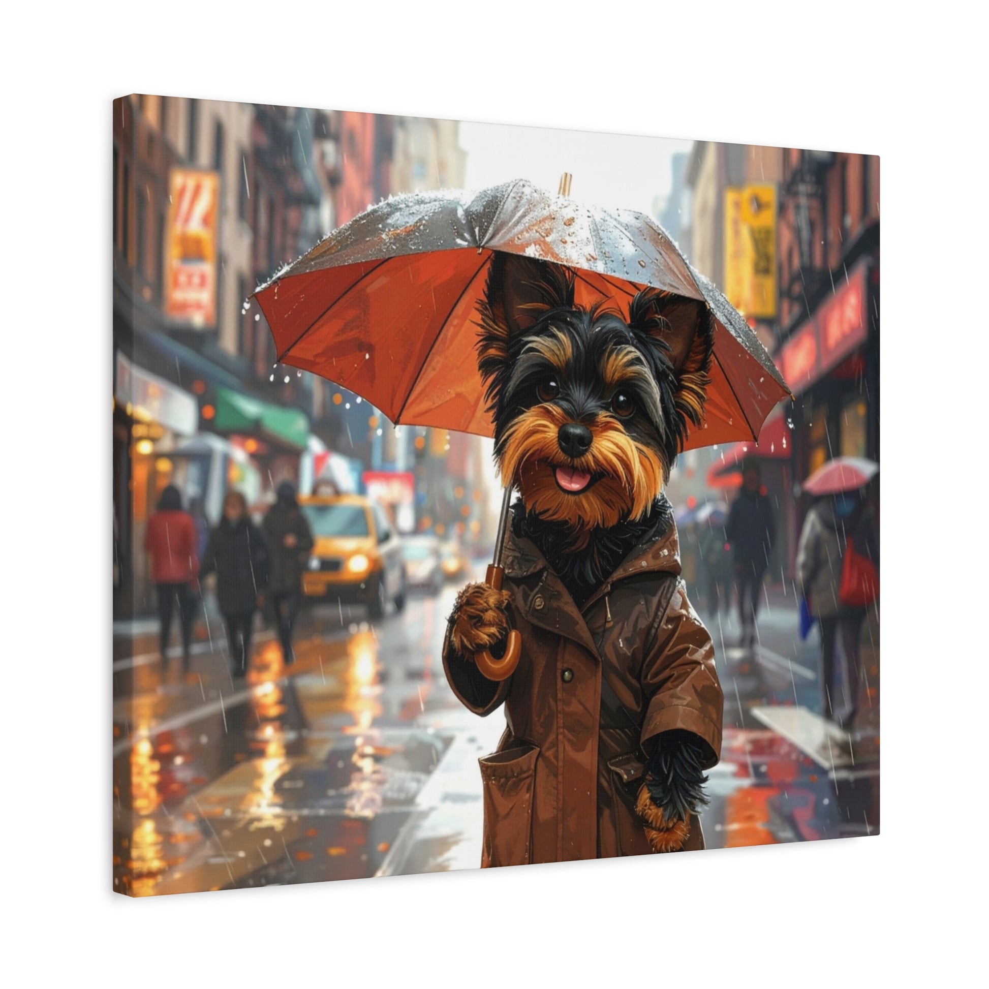 NY Yorkie: Everyday Rain - Chunique Chihuahuas