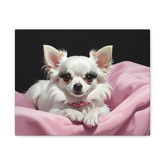 Perfectly Pink: Pink & Black - Chunique Chihuahuas