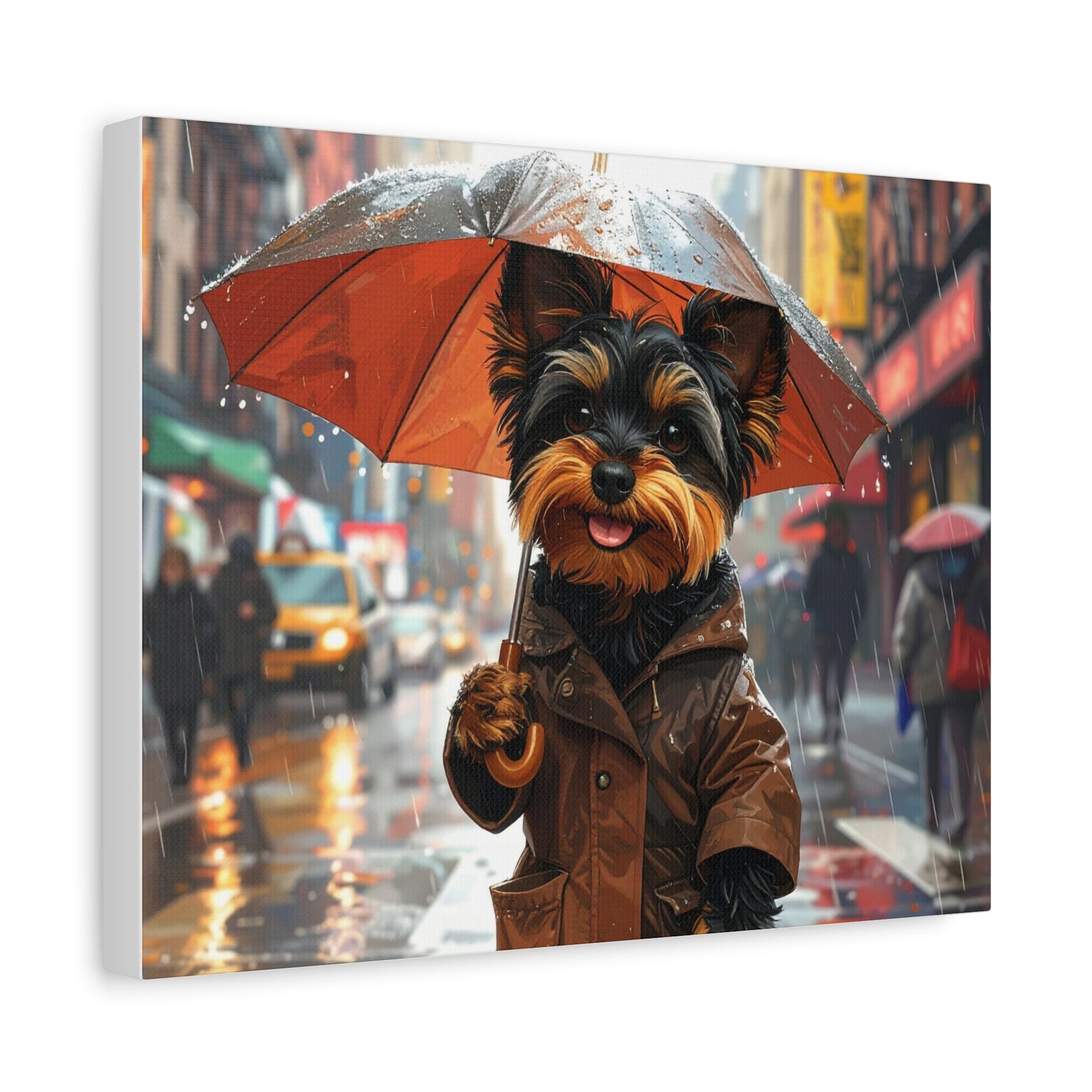 NY Yorkie: Everyday Rain - chunique chihuahuas