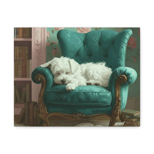 White dog lying on a teal armchair in a vintage room with bookshelf and floral wallpaper.
