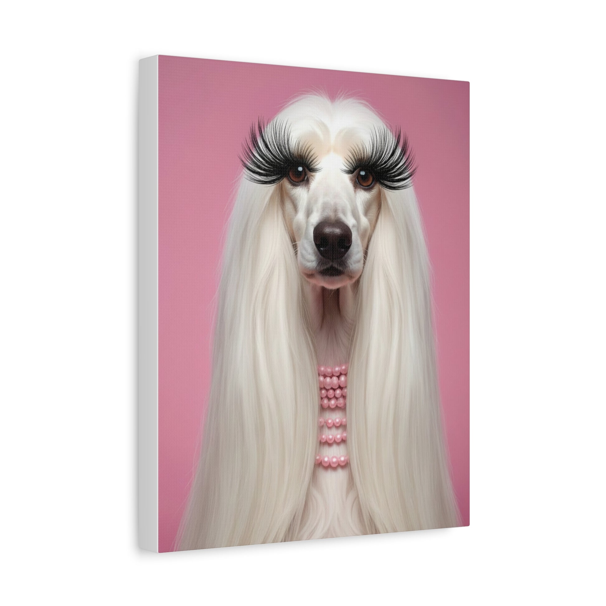 Glamorous Grandeur: White & Pink - chunique chihuahuas