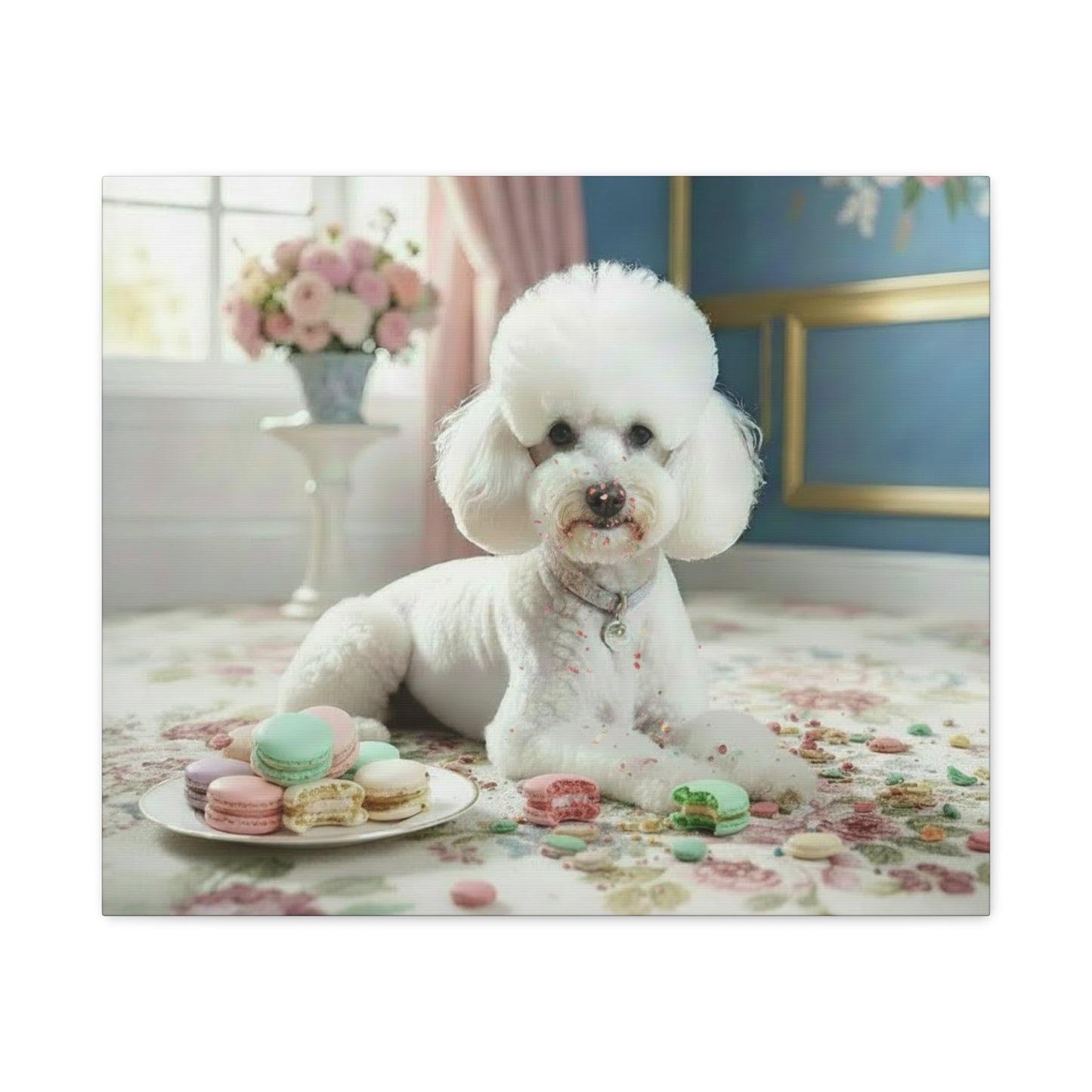 White dog sitting on a floral rug with a plate of colorful macarons