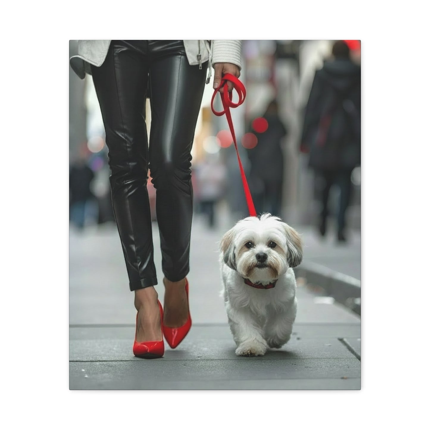 Shih Tzu Glitz: Off - Duty - Chunique Chihuahuas
