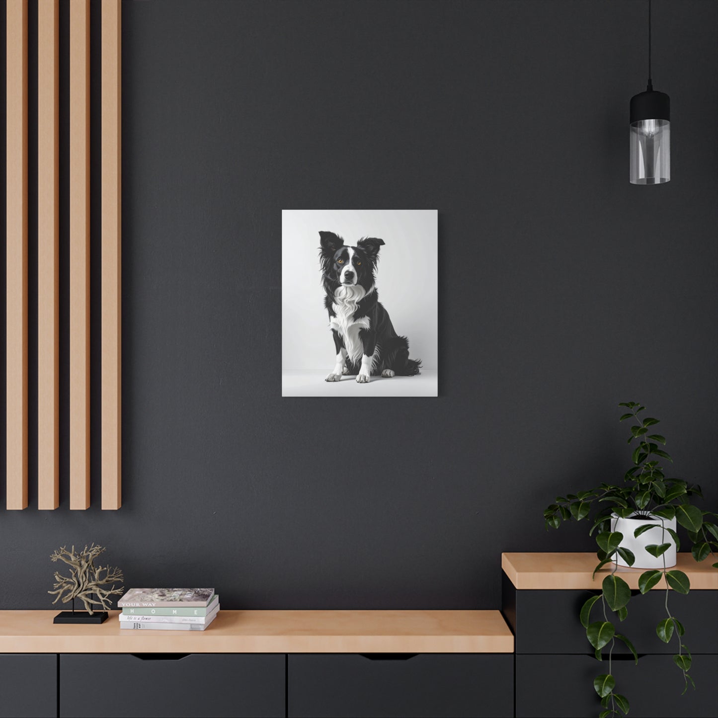 Captivating Collies: White & Amber - Chunique Chihuahuas