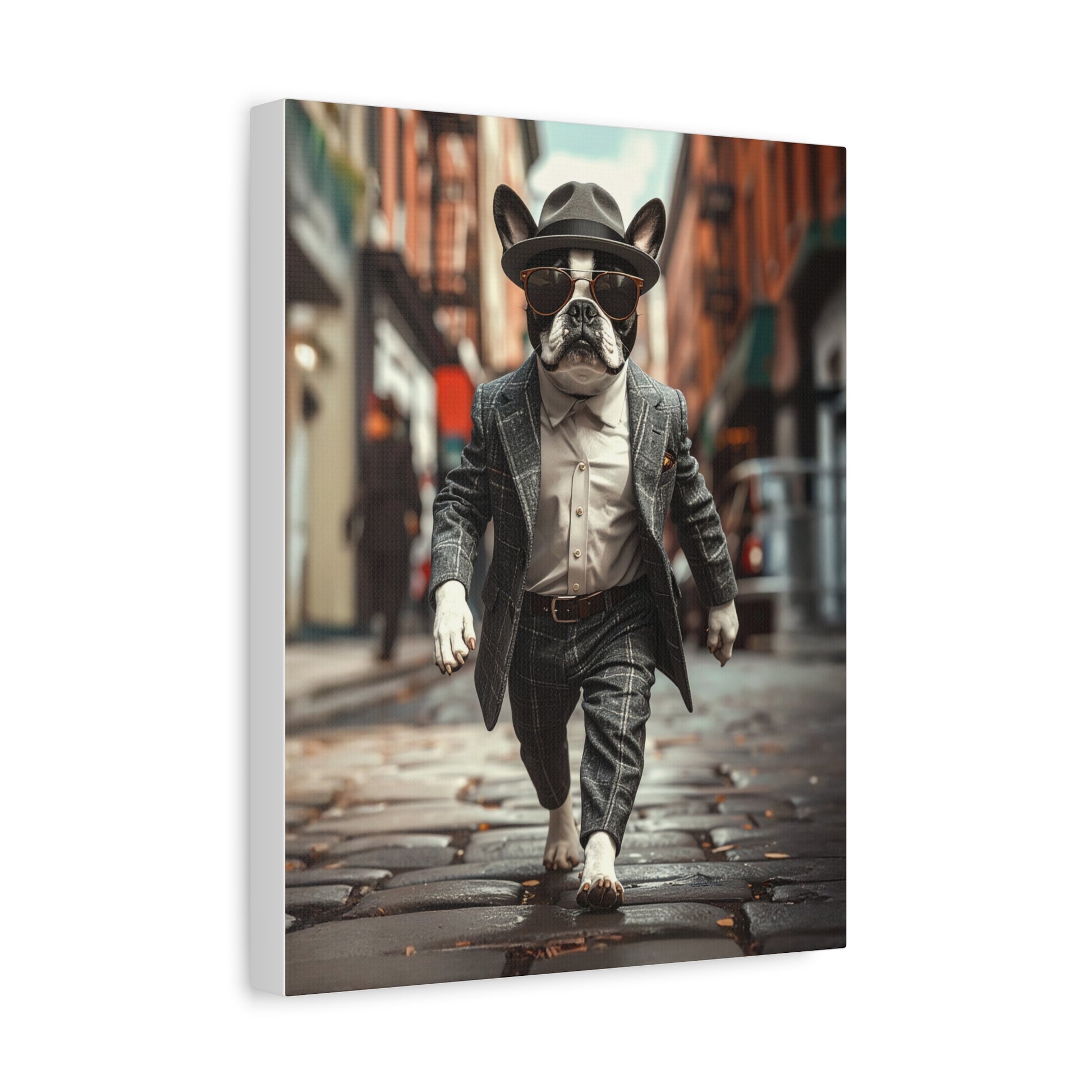 Boston Bred: 1950's - chunique chihuahuas