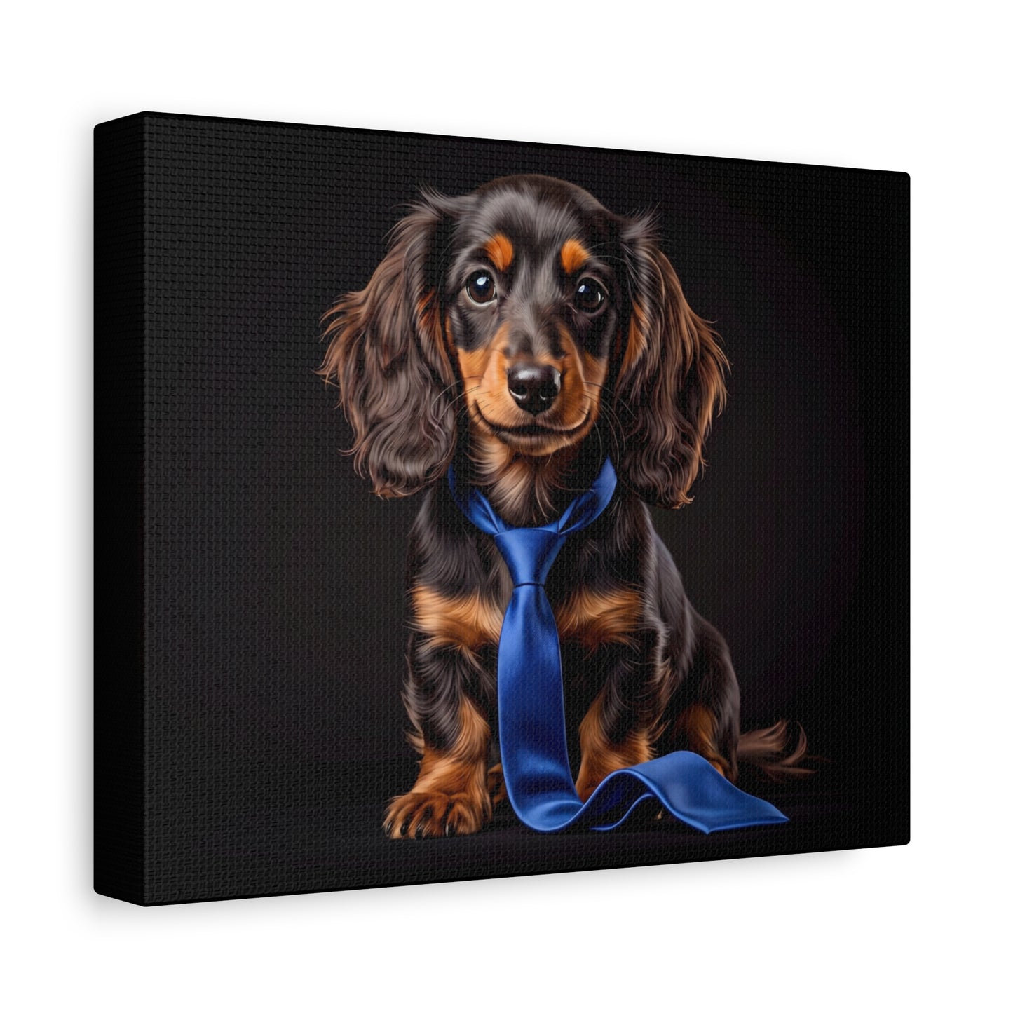 Canvas print of a dachshund wearing a blue tie on a black background