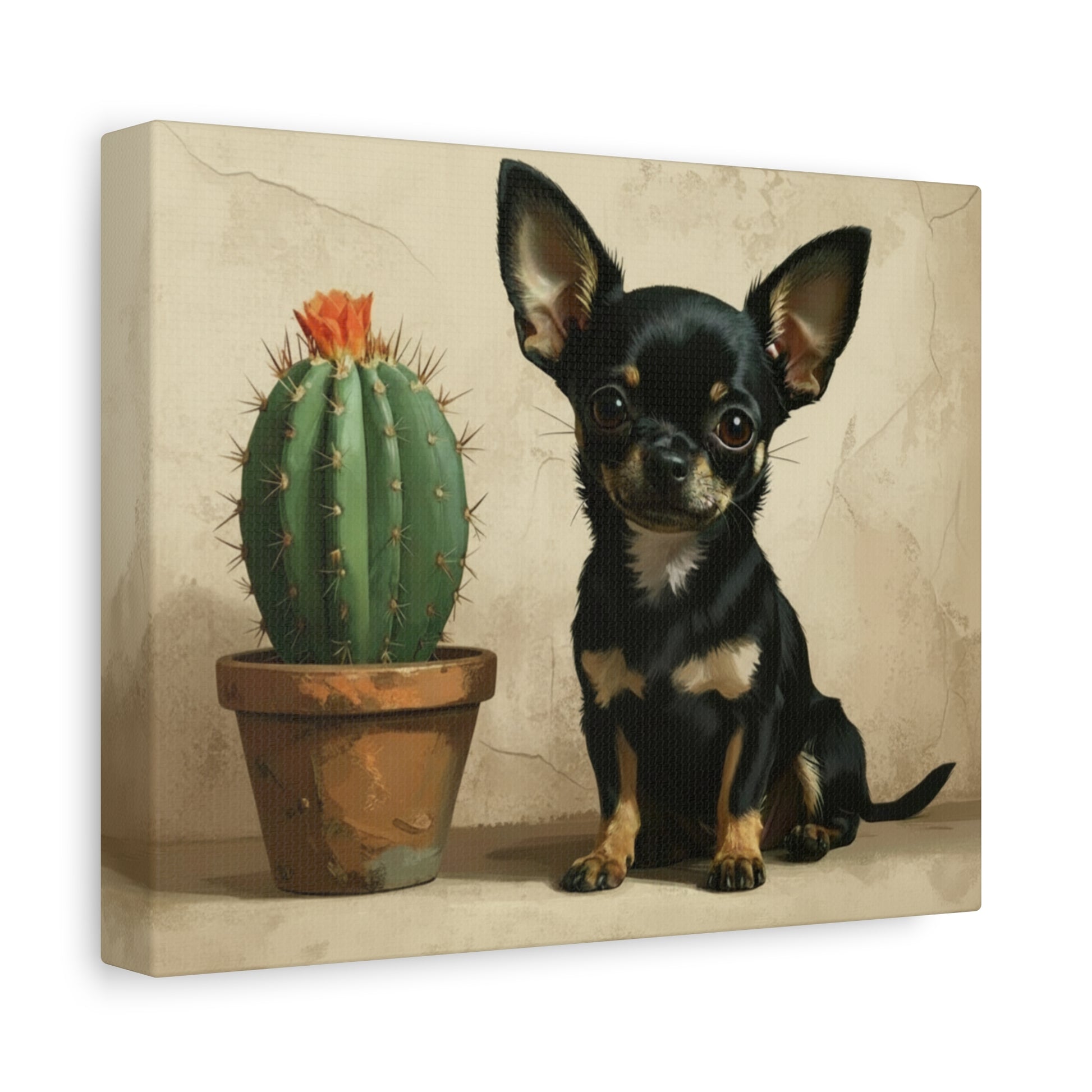 The Southwest: Cactus & Chihuahua - Chunique Chihuahuas