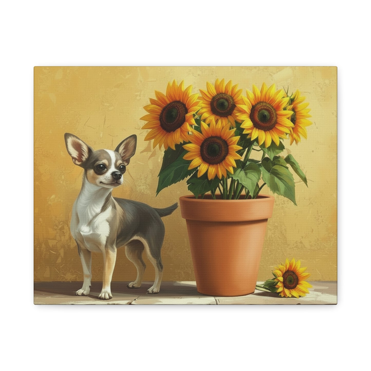 The Southwest: Sunflowers & Chihuahuas - Chunique Chihuahuas
