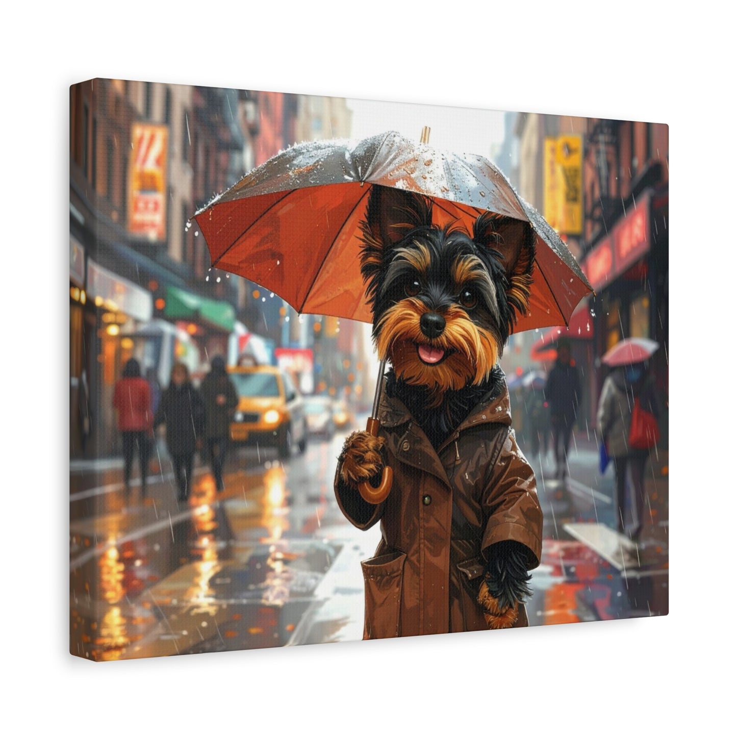 NY Yorkie: Everyday Rain - Chunique Chihuahuas