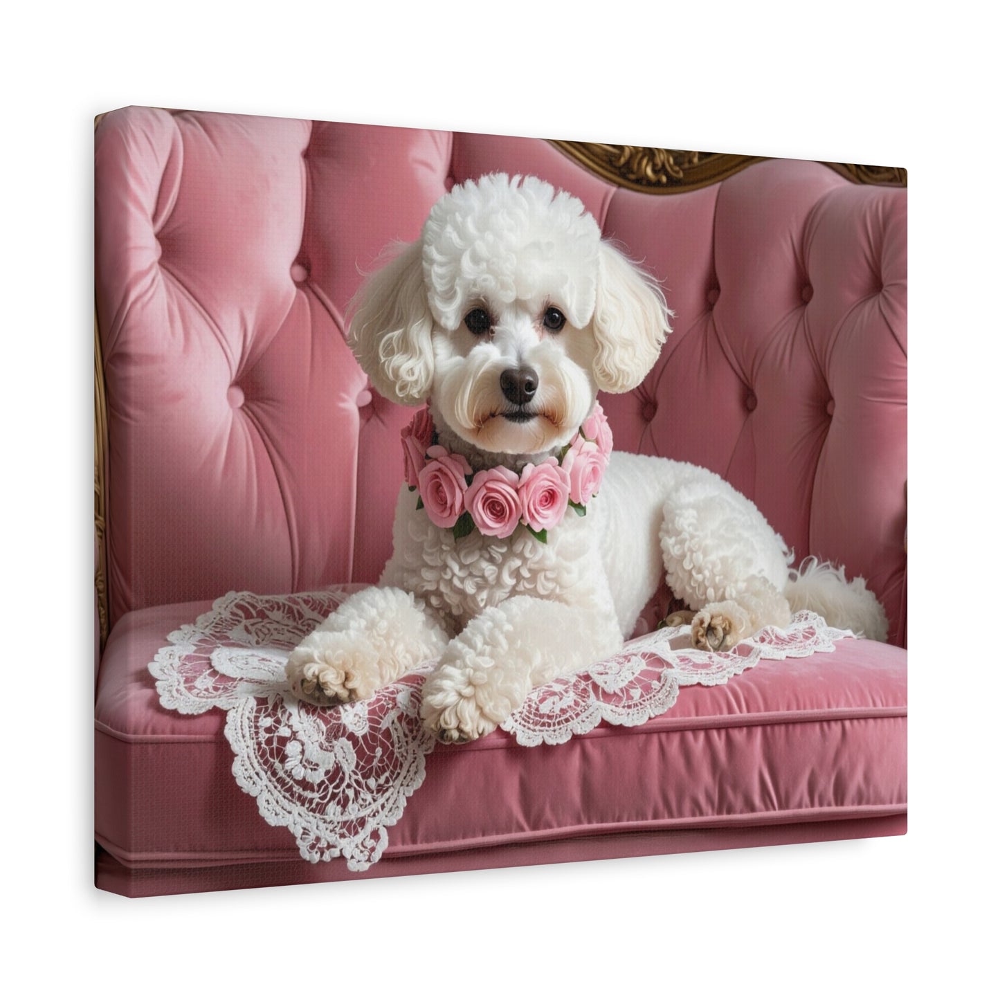 Bougie Bichon: Pink Velvet - Chunique Chihuahuas