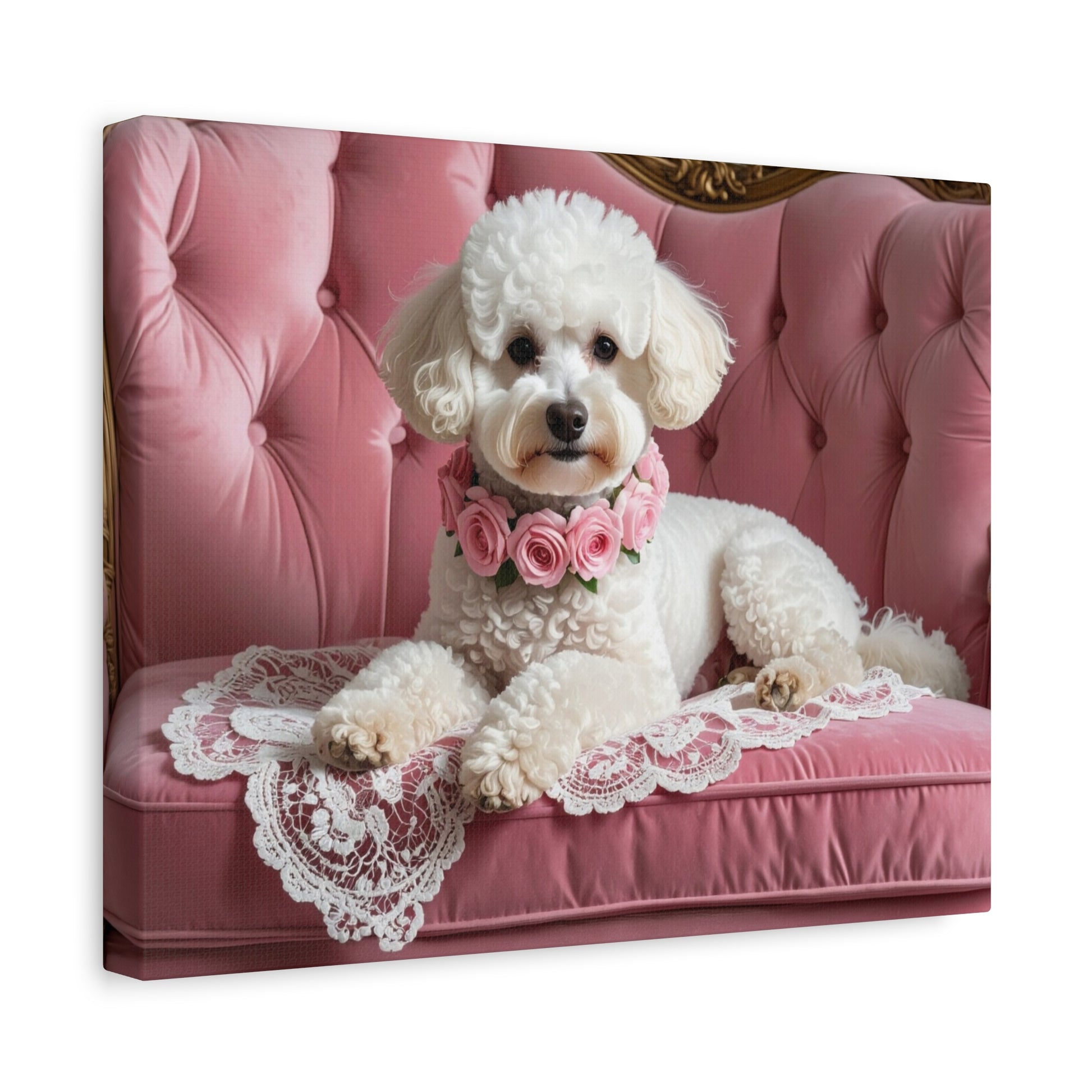 Bougie Bichon: Pink Velvet - Chunique Chihuahuas