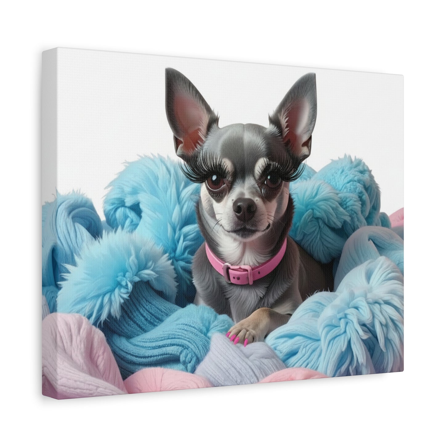 Perfectly Pink: Pink & Blue - Chunique Chihuahuas