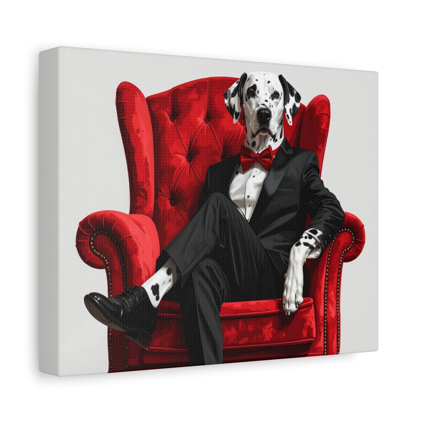 Black & White: Tuxedo - Chunique Chihuahuas