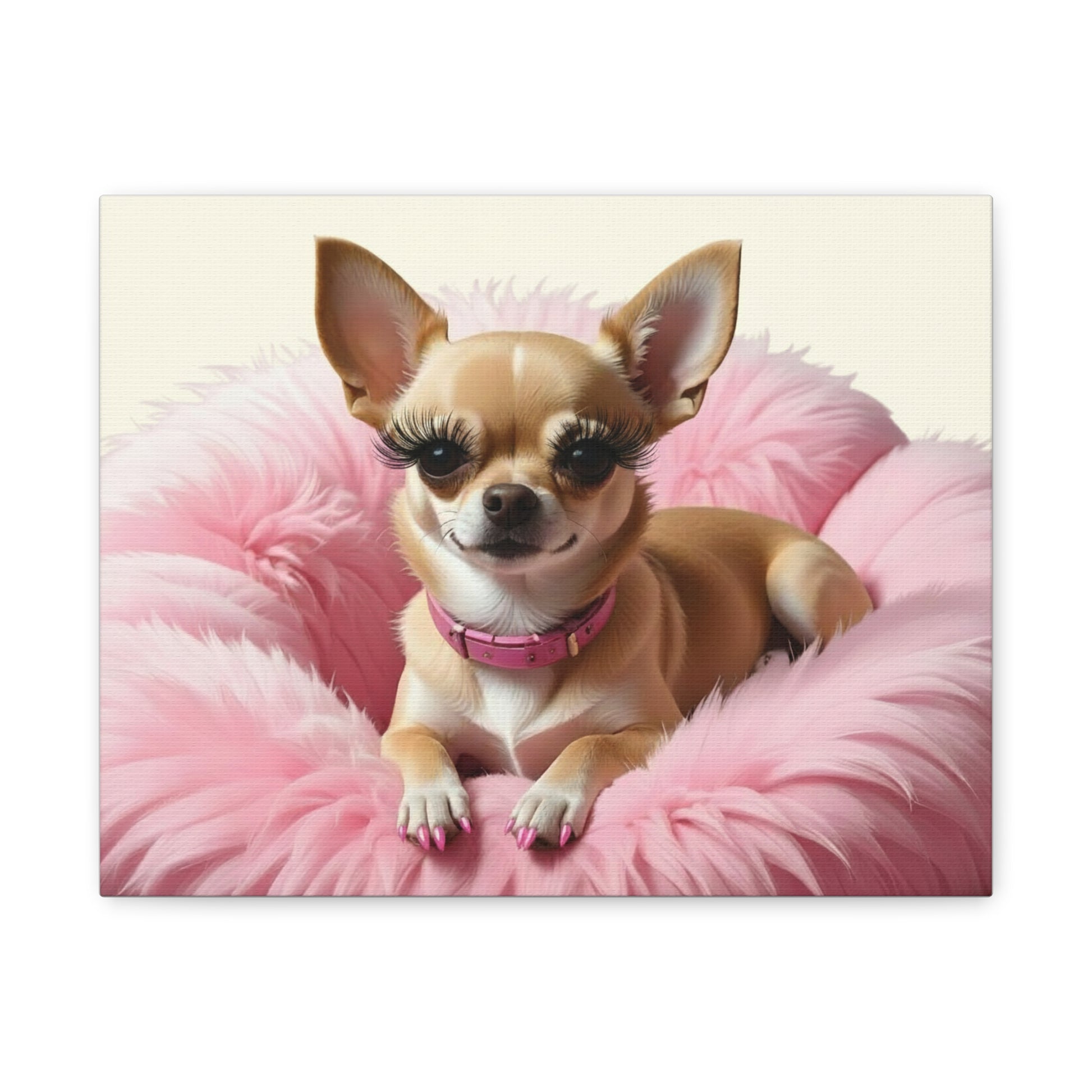 Perfectly Pink: Pink & Cream - chunique chihuahuas