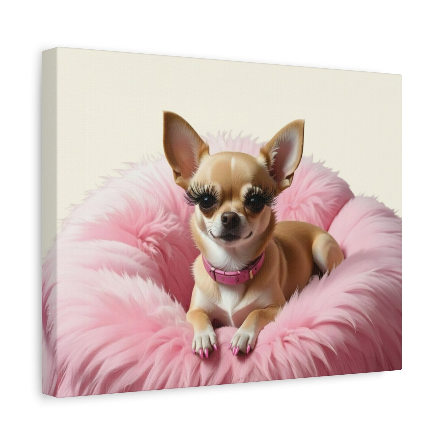 Perfectly Pink: Pink & Cream - Chunique Chihuahuas