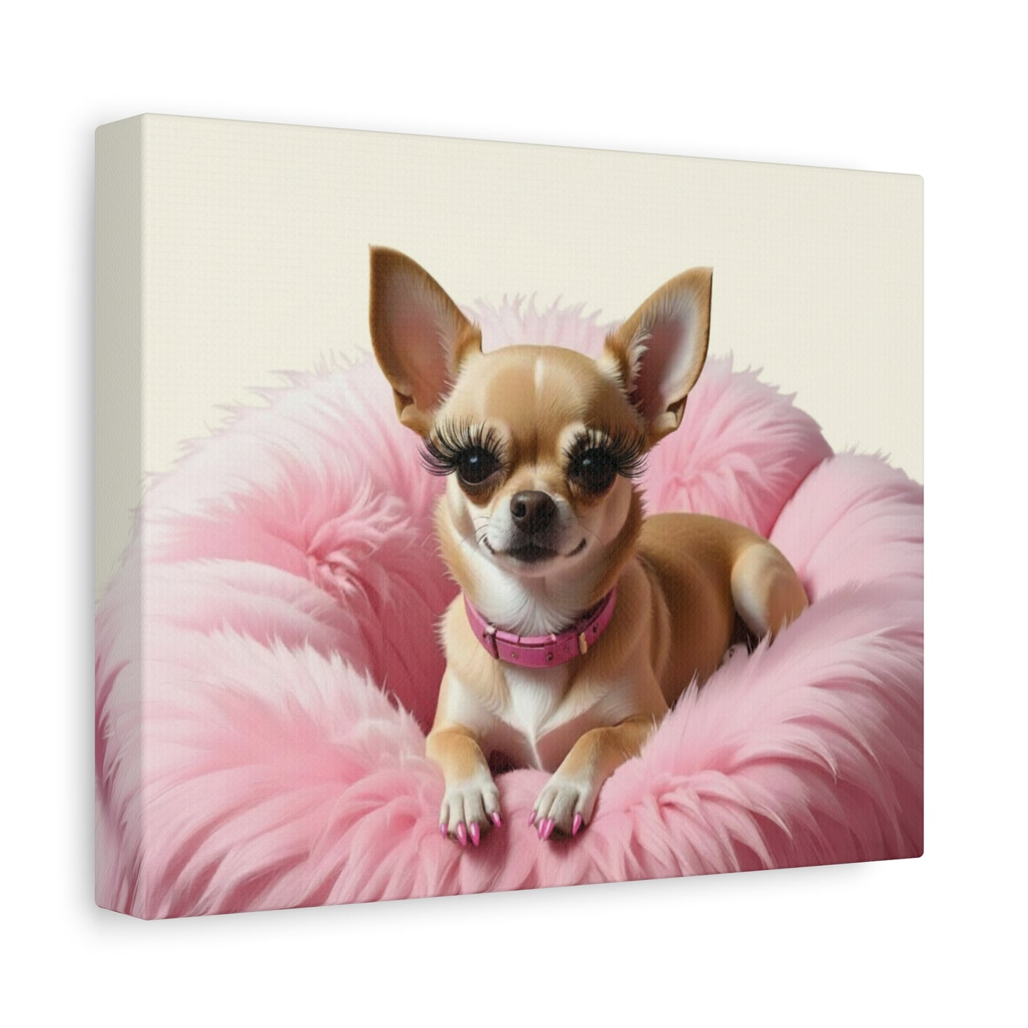 Perfectly Pink: Pink & Cream - Chunique Chihuahuas