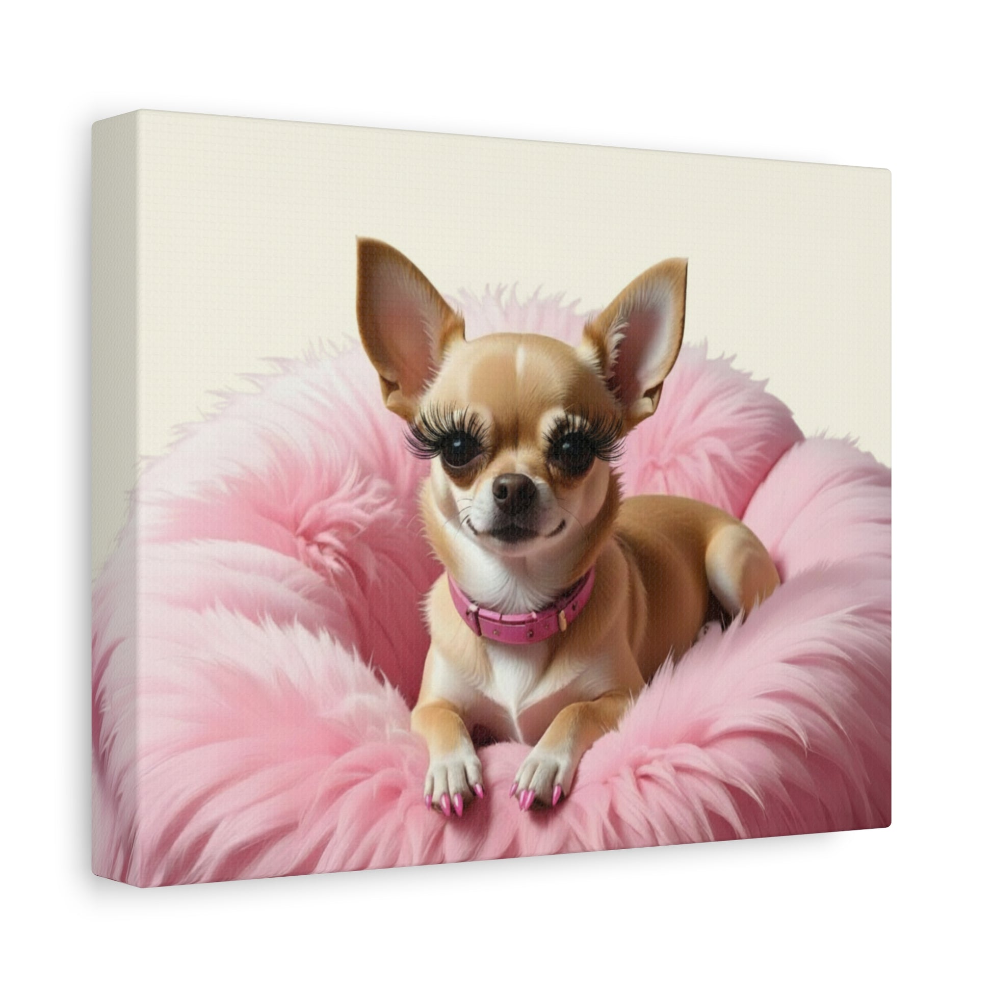 Perfectly Pink: Pink & Cream - Chunique Chihuahuas