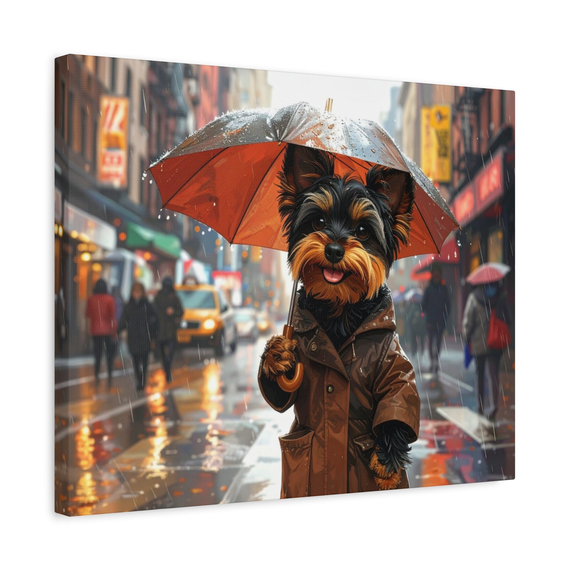 NY Yorkie: Everyday Rain - Chunique Chihuahuas