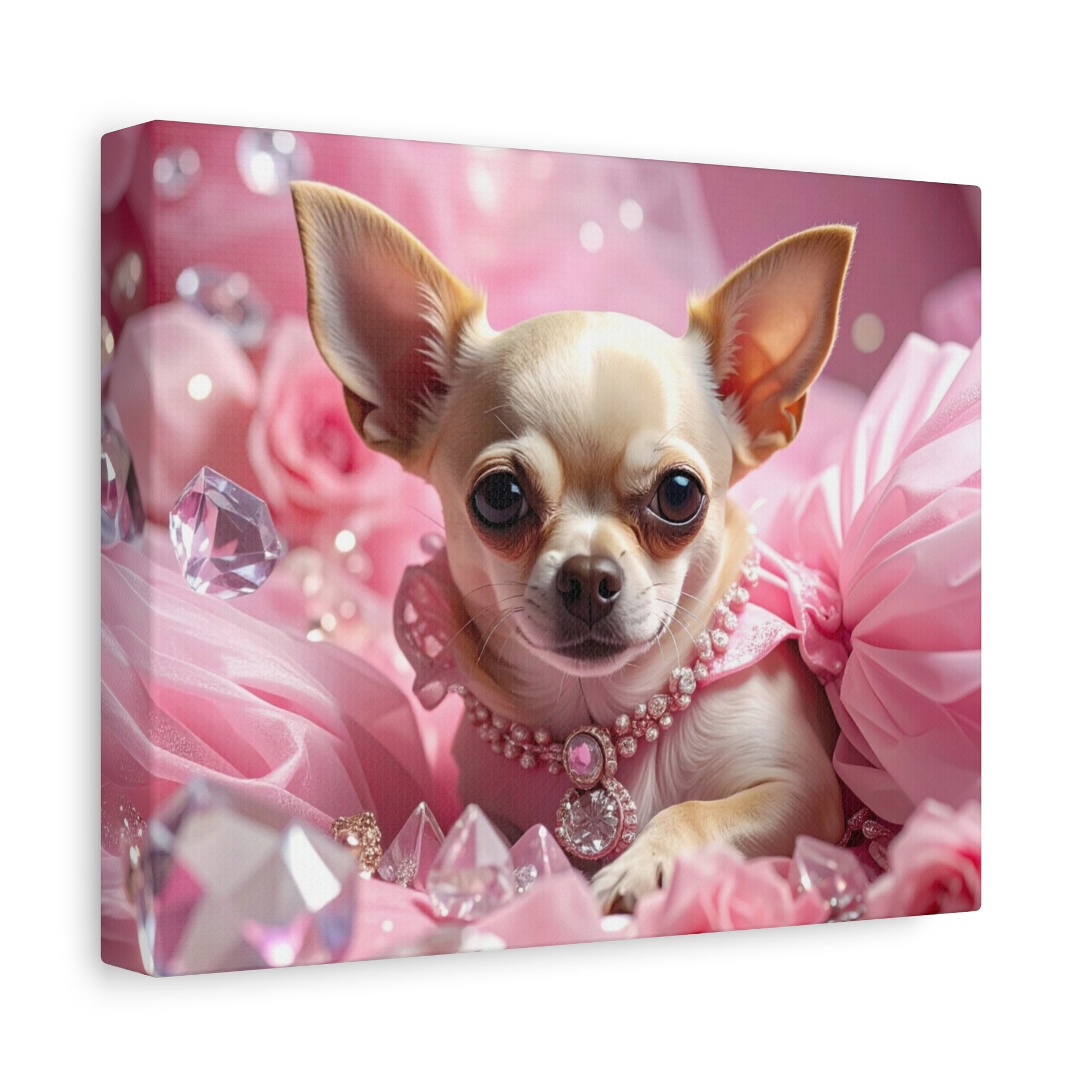Rags to Riches: Princess - Chunique Chihuahuas