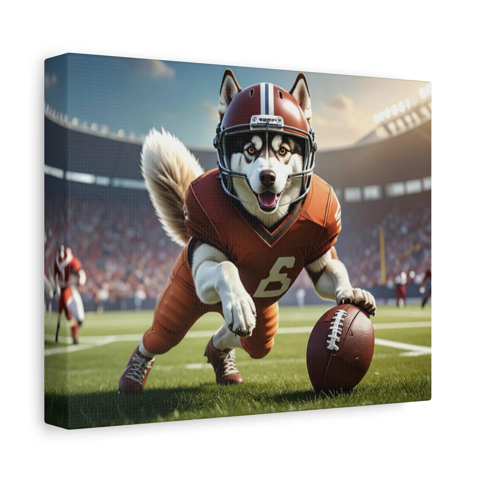 All - Stars: Football - Chunique Chihuahuas
