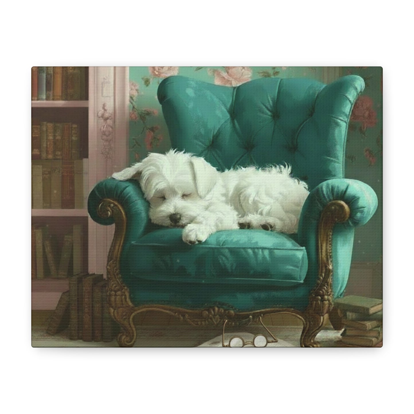 Bougie Bichon: The Library - Chunique Chihuahuas