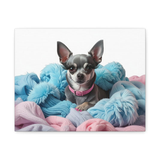 Perfectly Pink: Pink & Blue - chunique chihuahuas
