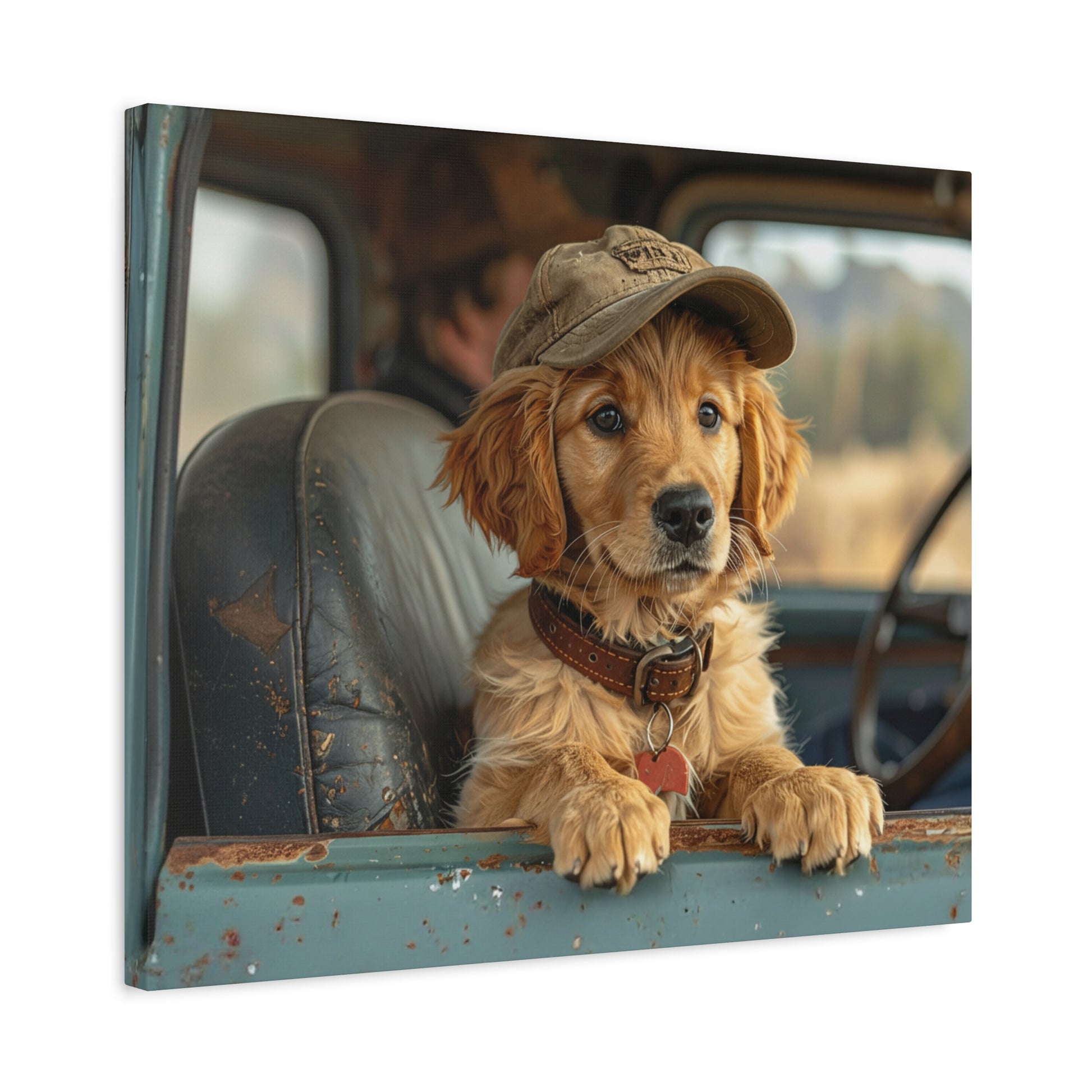 JoyRide: Golden Retriever - Chunique Chihuahuas