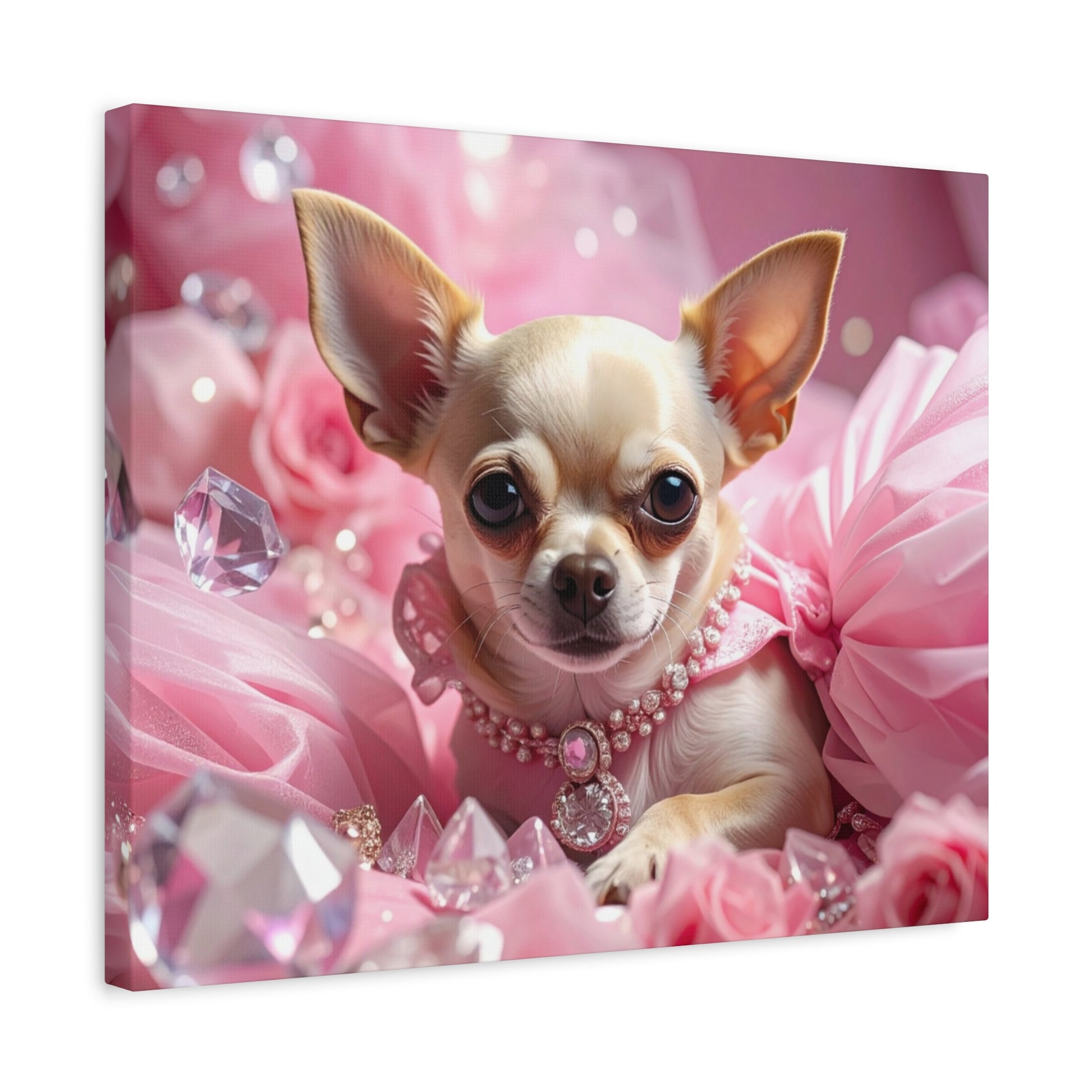 Rags to Riches: Princess - Chunique Chihuahuas