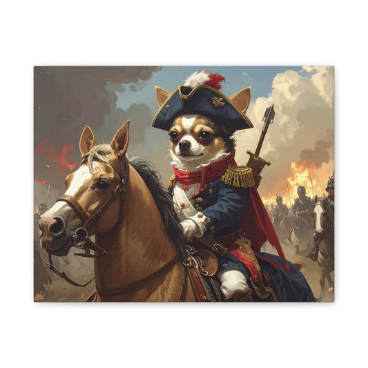 Napoleon: Warhorse - chunique chihuahuas