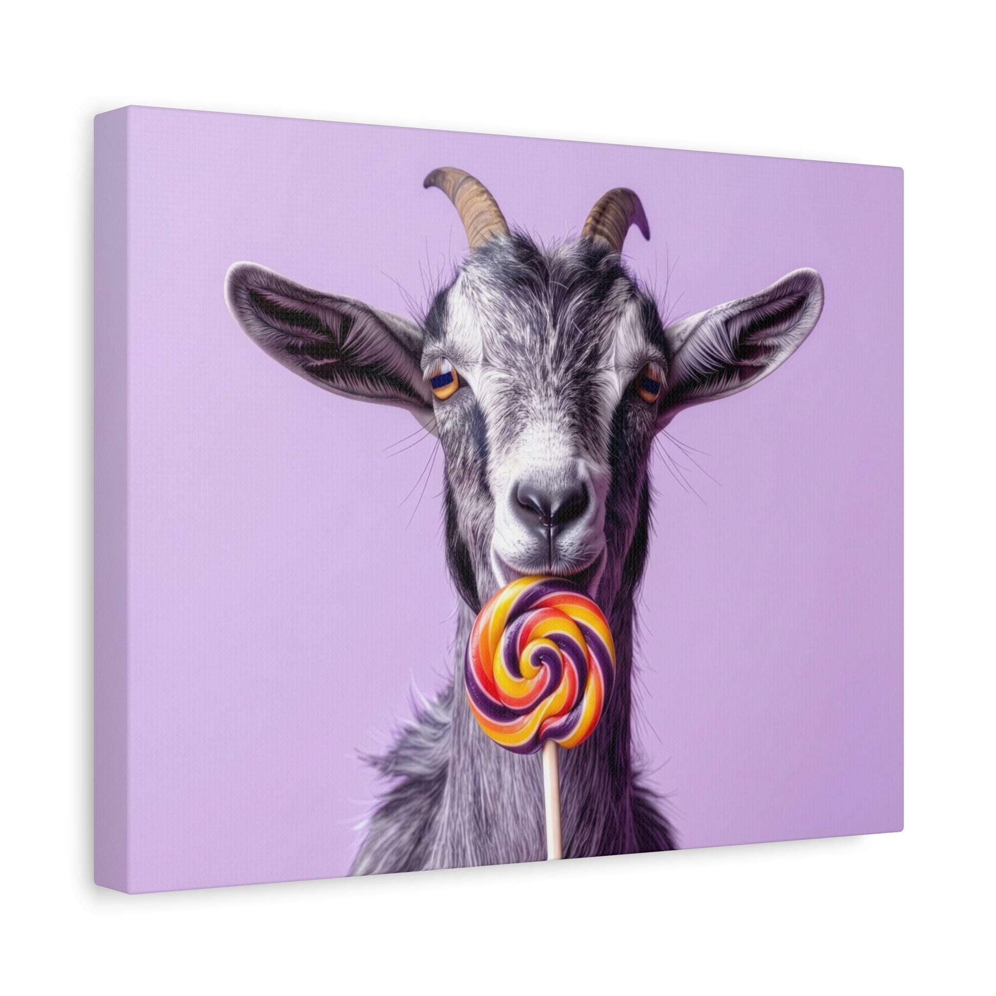 Goat with Lollipop Canvas Print — Whimsical Farmhouse Wall Art - Chunique Chihuahuas