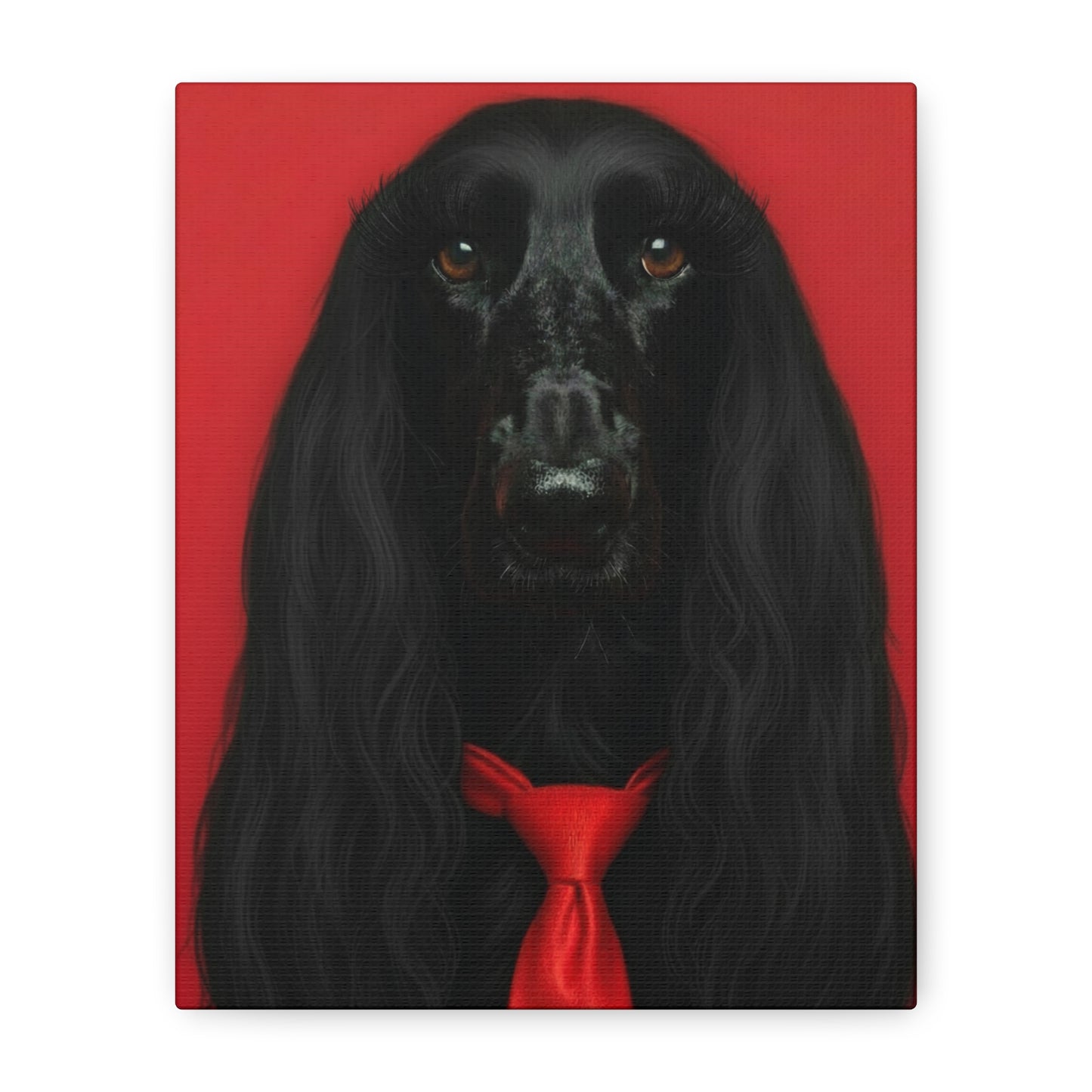 Glamorous Grandeur: Black & Red - Chunique Chihuahuas