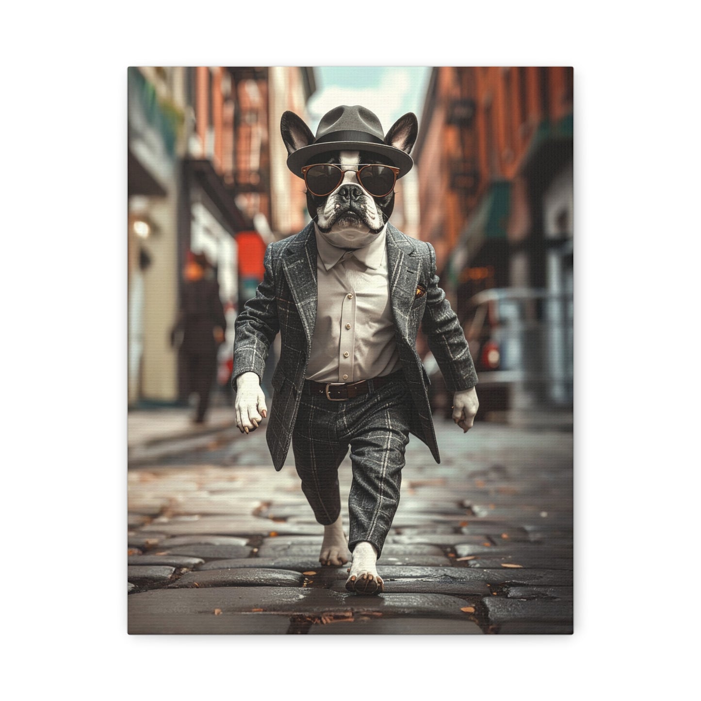 Boston Bred: 1950's - chunique chihuahuas