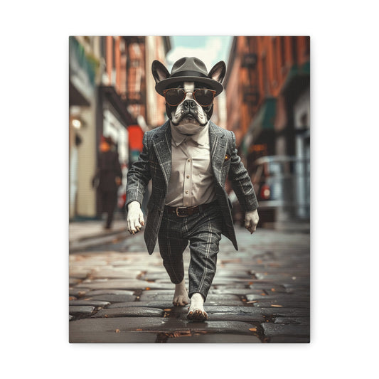 Boston Bred: 1950's - chunique chihuahuas