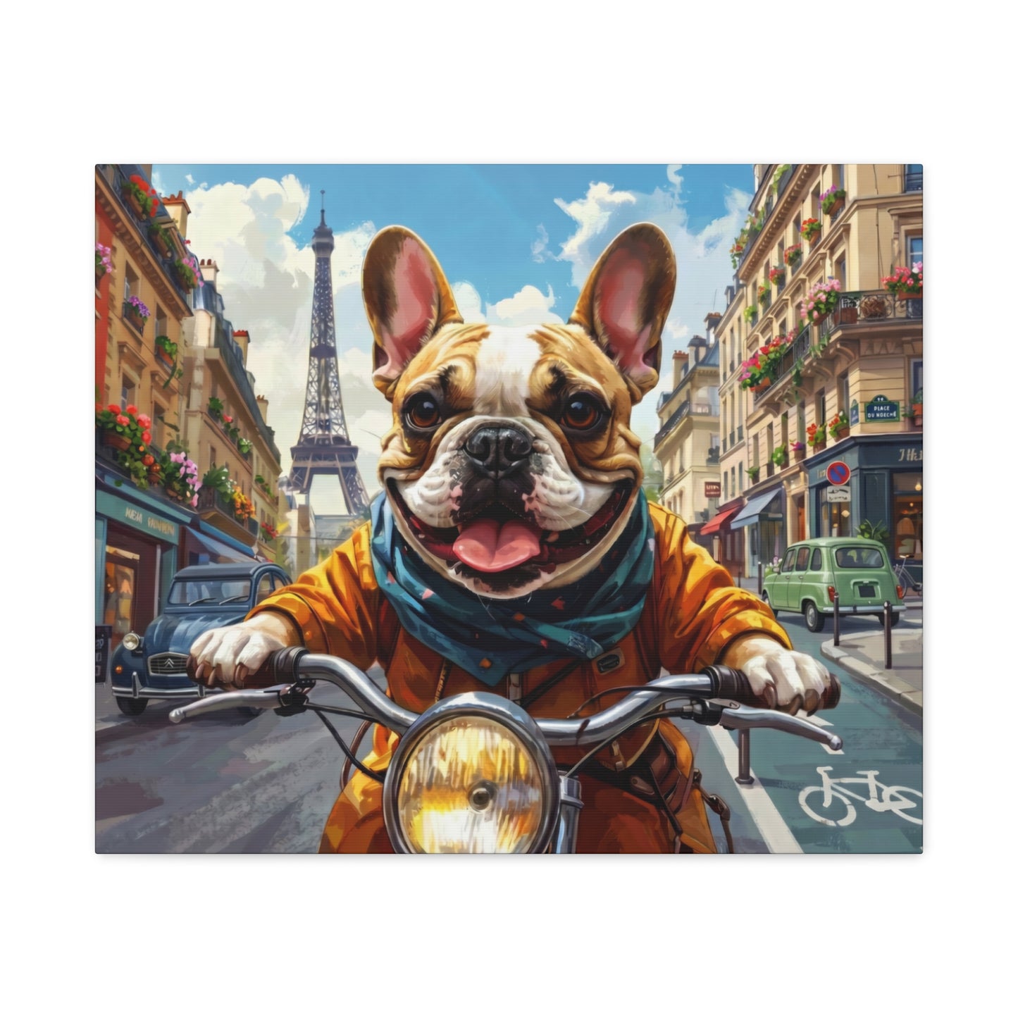 Frenchies in France: Motorbike - Chunique Chihuahuas