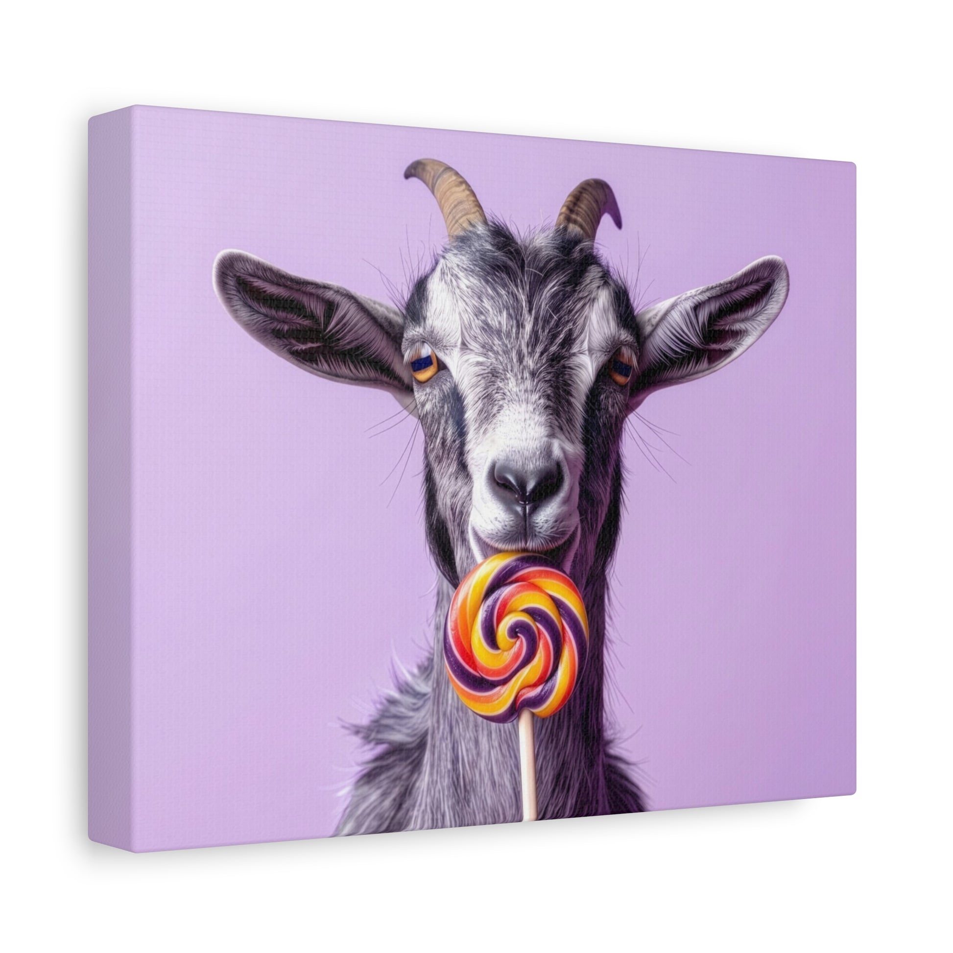 Goat with Lollipop Canvas Print — Whimsical Farmhouse Wall Art - Chunique Chihuahuas