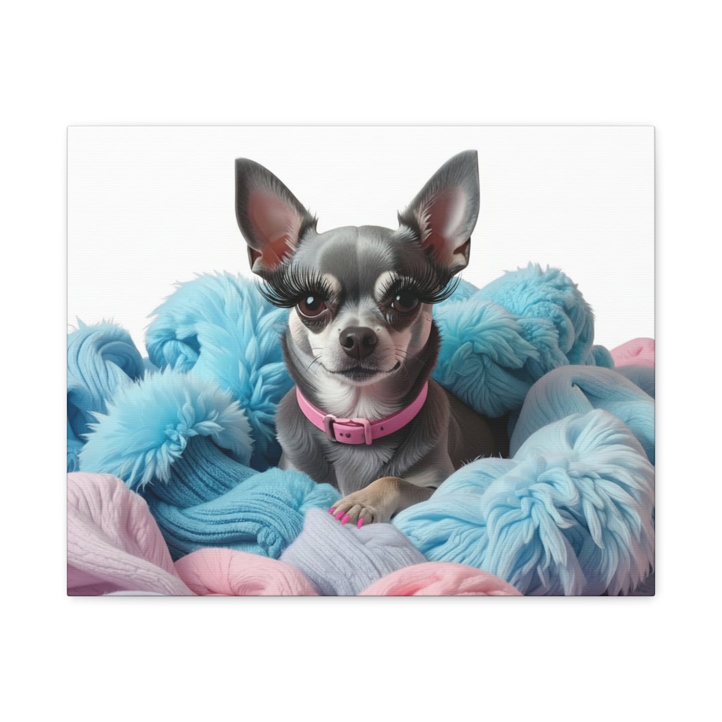 Perfectly Pink: Pink & Blue - Chunique Chihuahuas