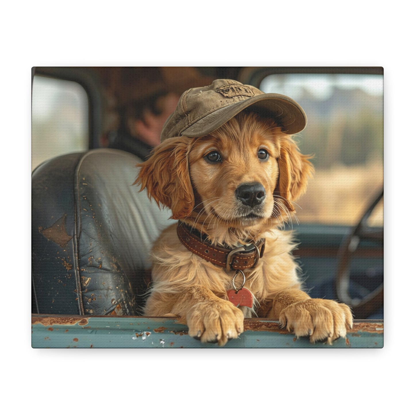 JoyRide: Golden Retriever - Chunique Chihuahuas