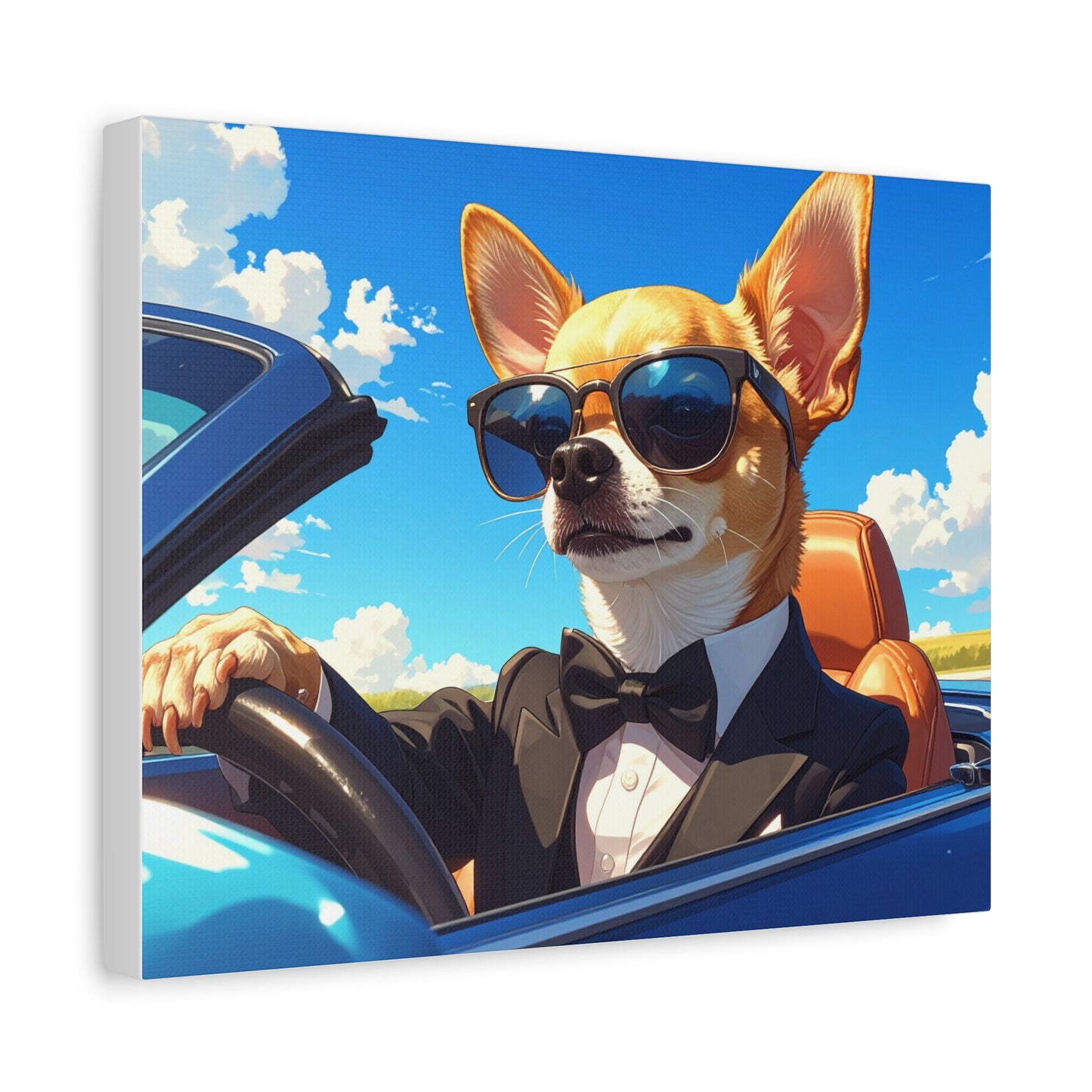 Rags to Riches: Blue Skies - chunique chihuahuas