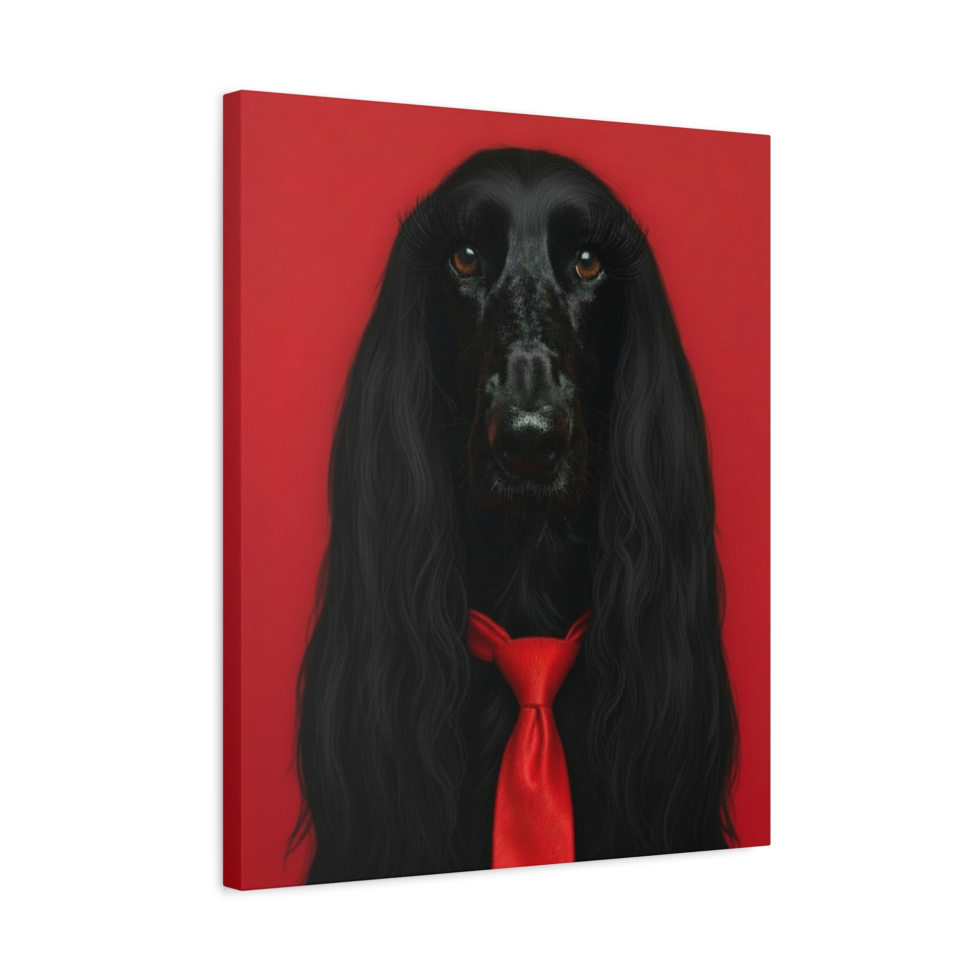 Glamorous Grandeur: Black & Red - Chunique Chihuahuas
