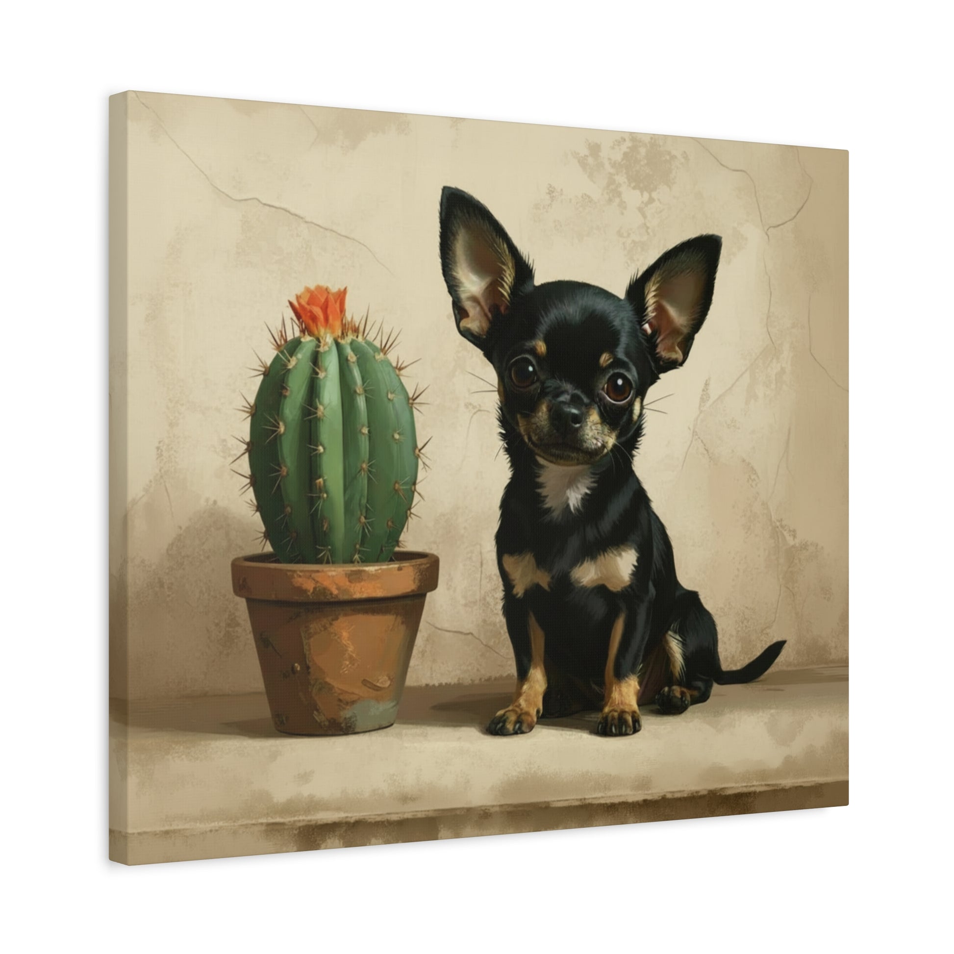 The Southwest: Cactus & Chihuahua - Chunique Chihuahuas