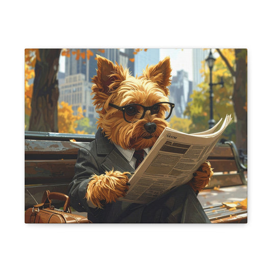 NY Yorkie: Daily News - Chunique Chihuahuas