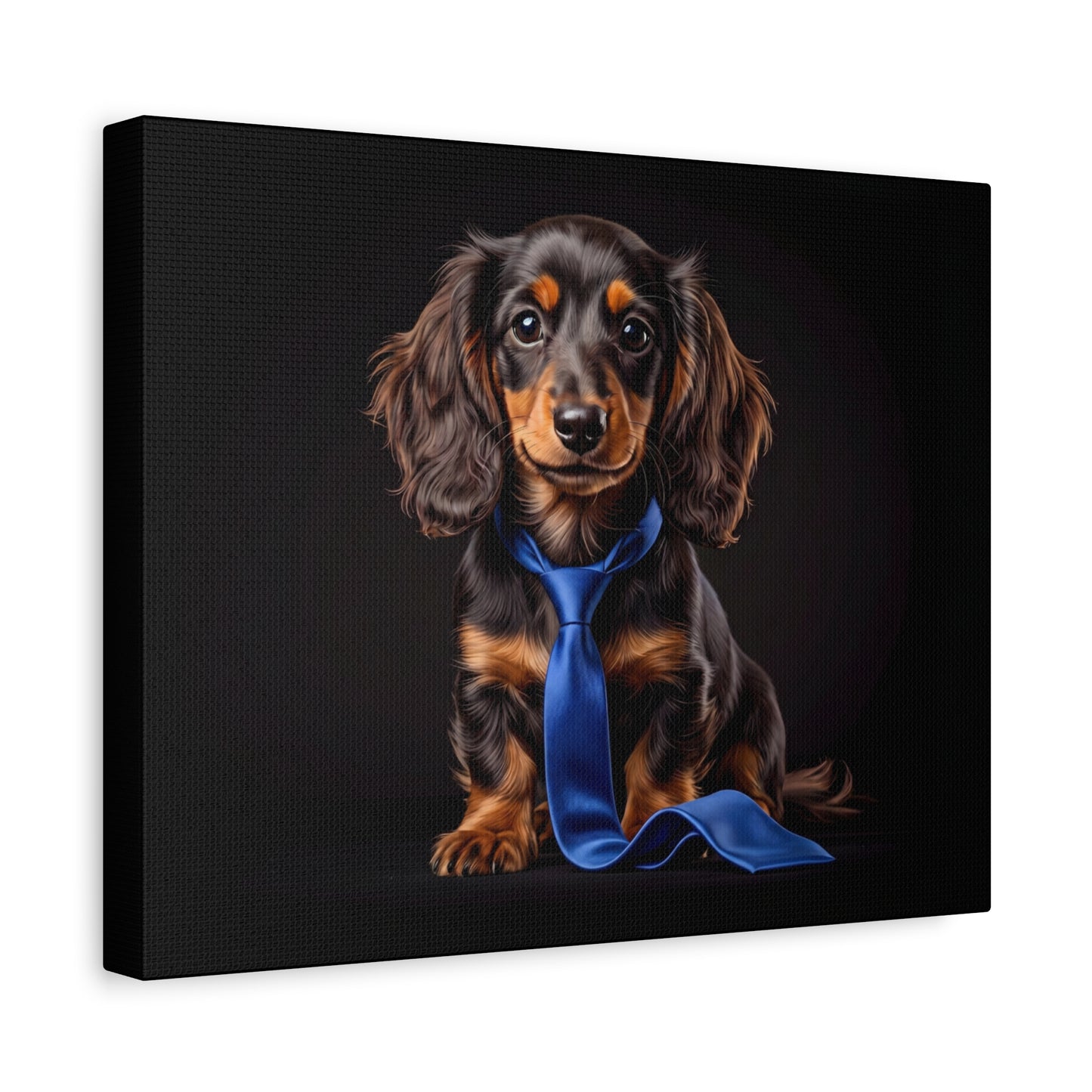 Canvas print of a dachshund wearing a blue tie on a black background