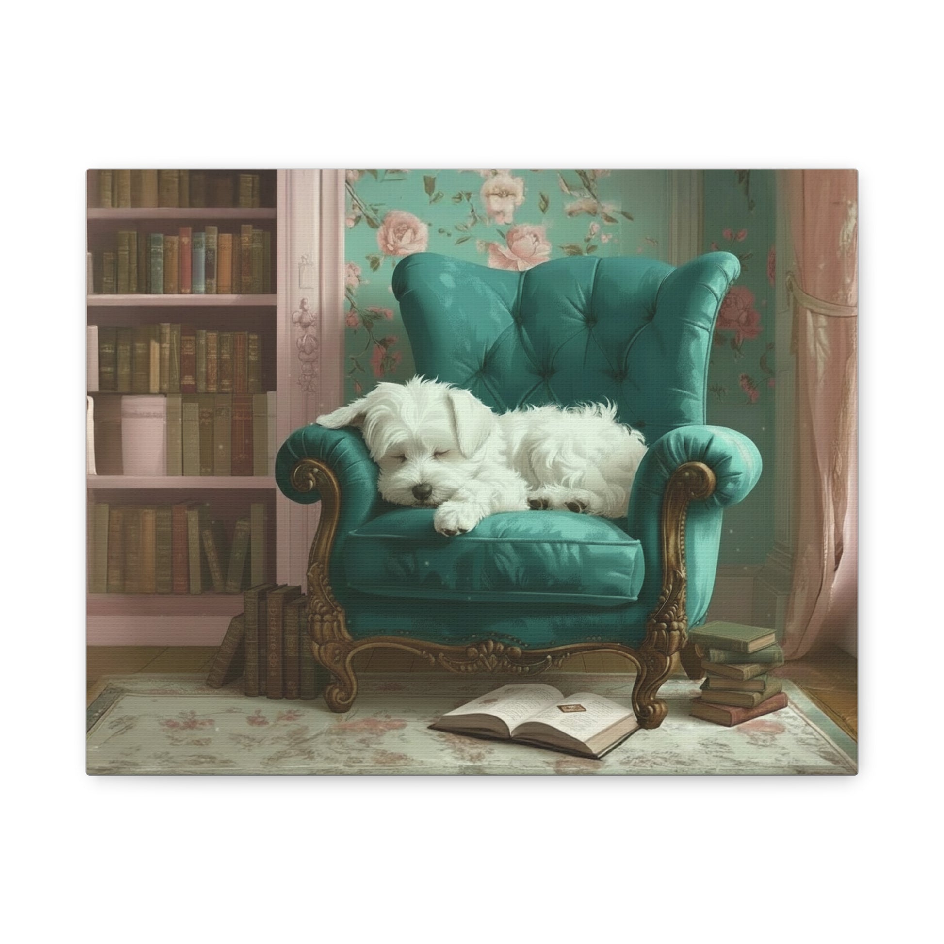 Bougie Bichon: The Library - chunique chihuahuas
