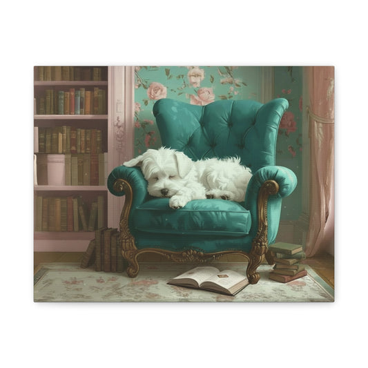 Bougie Bichon: The Library - chunique chihuahuas