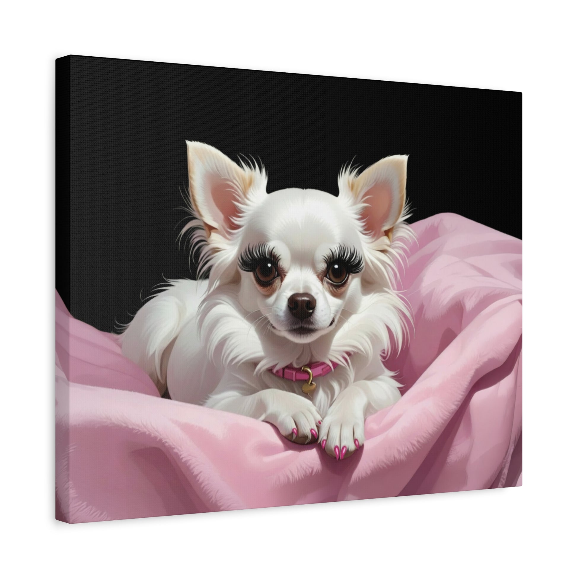 Perfectly Pink: Pink & Black - Chunique Chihuahuas