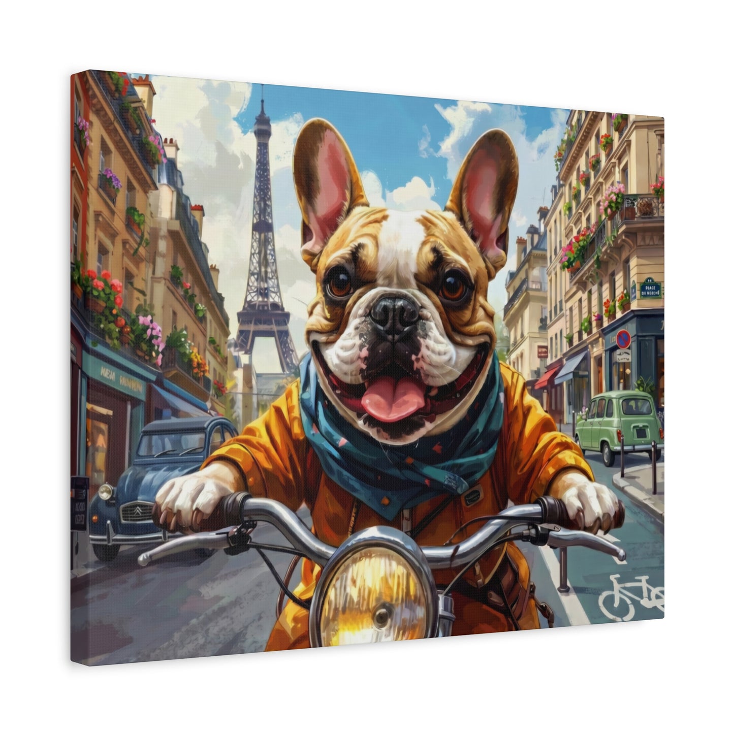 Frenchies in France: Motorbike - Chunique Chihuahuas