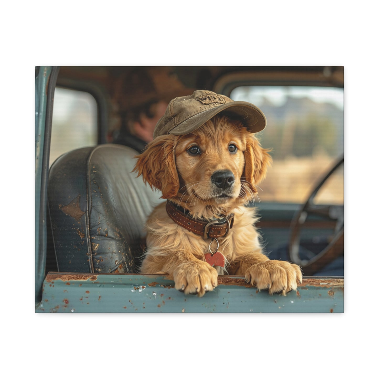 JoyRide: Golden Retriever - Chunique Chihuahuas
