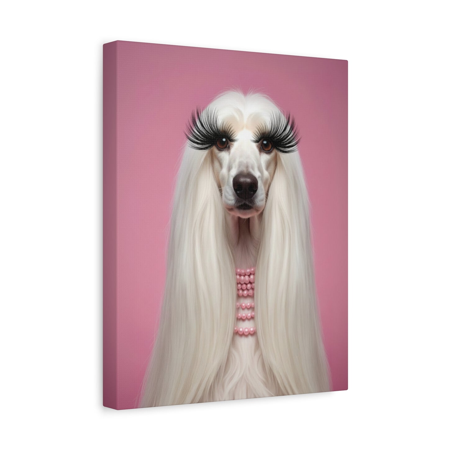 Glamorous Grandeur: White & Pink - Chunique Chihuahuas