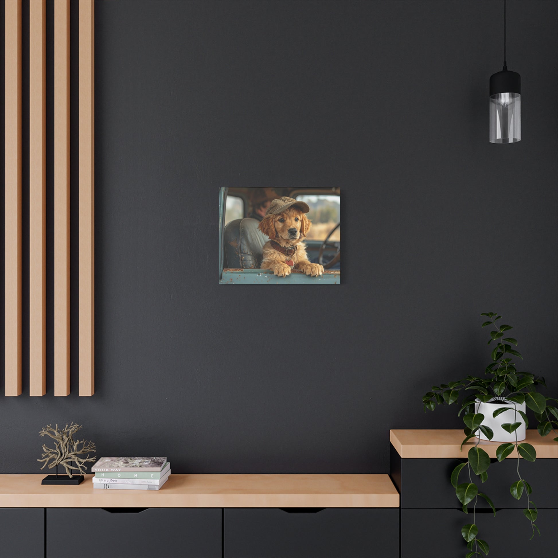 JoyRide: Golden Retriever - Chunique Chihuahuas