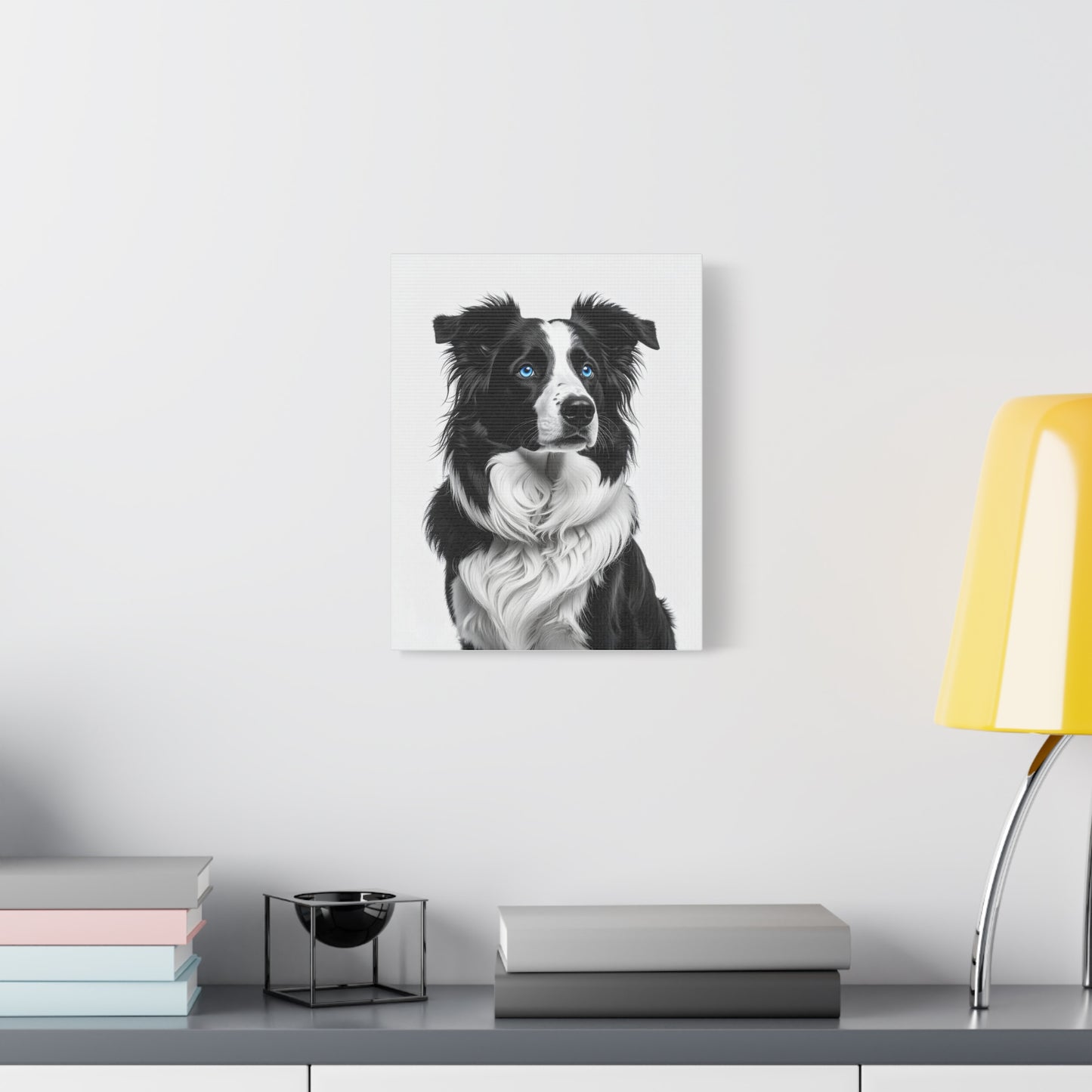 Captivating Collies: White & Blue - chunique chihuahuas